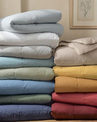 Down & Down-Alternative Comforters & Duvet Inserts