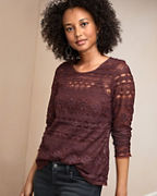 Embroidered-Lace Knit Top