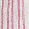 Pink Iris Stripe
